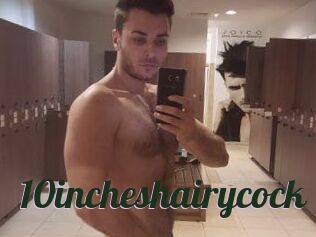 10incheshairycock