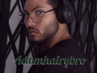 Adamhairybro