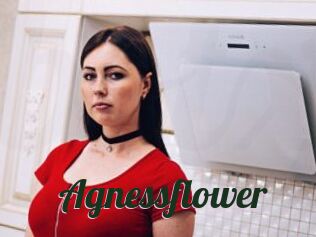 Agnessflower