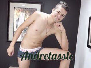 Andretassle