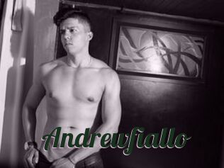 Andrewfiallo