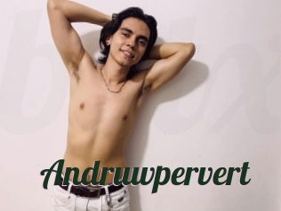 Andruwpervert