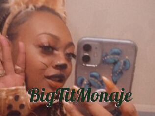 BigTitMonaje
