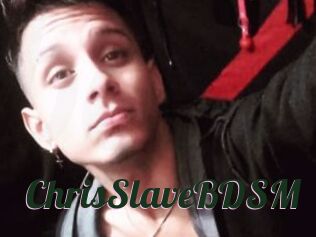 ChrisSlaveBDSM