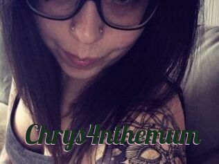 Chrys4nthemum