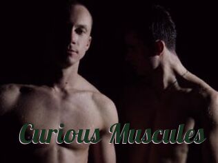 Curious_Muscules