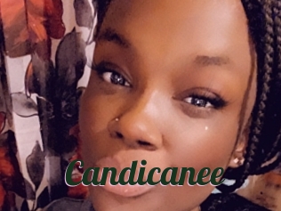 Candicanee
