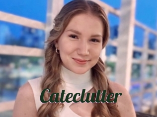 Cateclutter