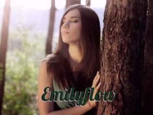 Emilyflow