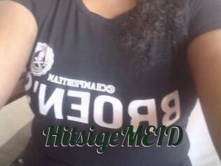 HitsigeMEID
