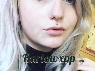 Harlowxpp