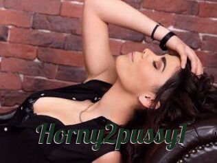 Horny2pussy1