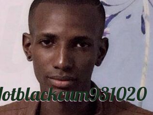 Hotblackcum931020