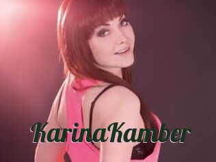 KarinaKamber
