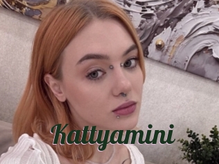 Kattyamini