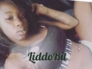 LiddoBit
