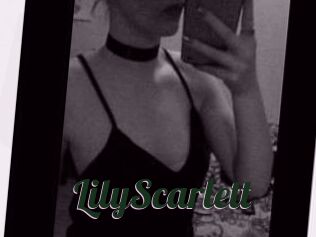 Lily_Scarlett
