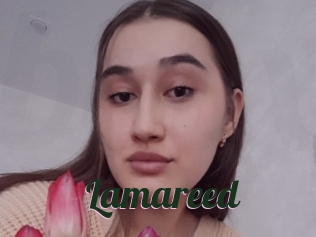 Lamareed