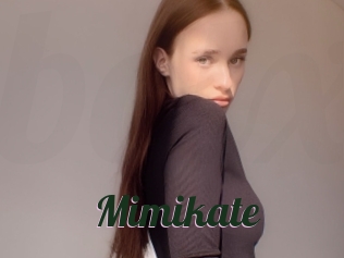 Mimikate