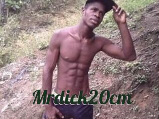 Mrdick20cm