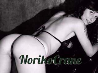 NorikoCrane
