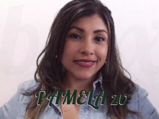 PAMELA_zv