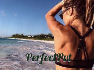 Perfect_Pvt_