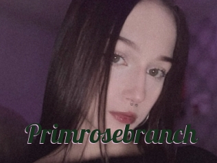 Primrosebranch