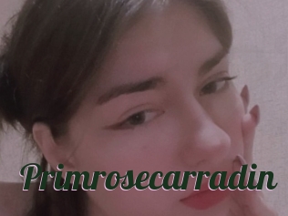 Primrosecarradin