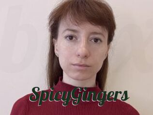 SpicyGingers