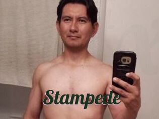 Stampede