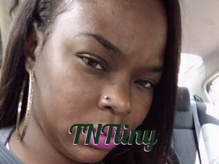 T_N_Ttiny
