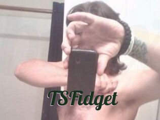 TSFidget