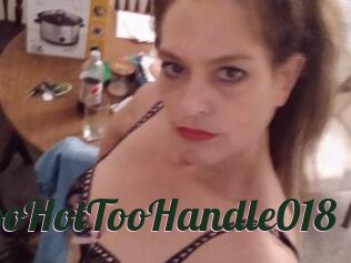 TooHotTooHandle018