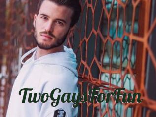 TwoGaysForFun