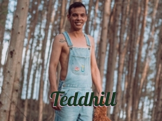 Teddhill