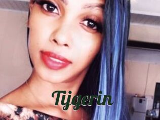Tijgerin