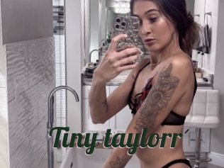 Tiny_taylorr