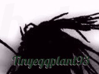 Tinyeggplant93