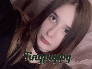 Tinypuppy