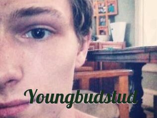 Youngbudstud